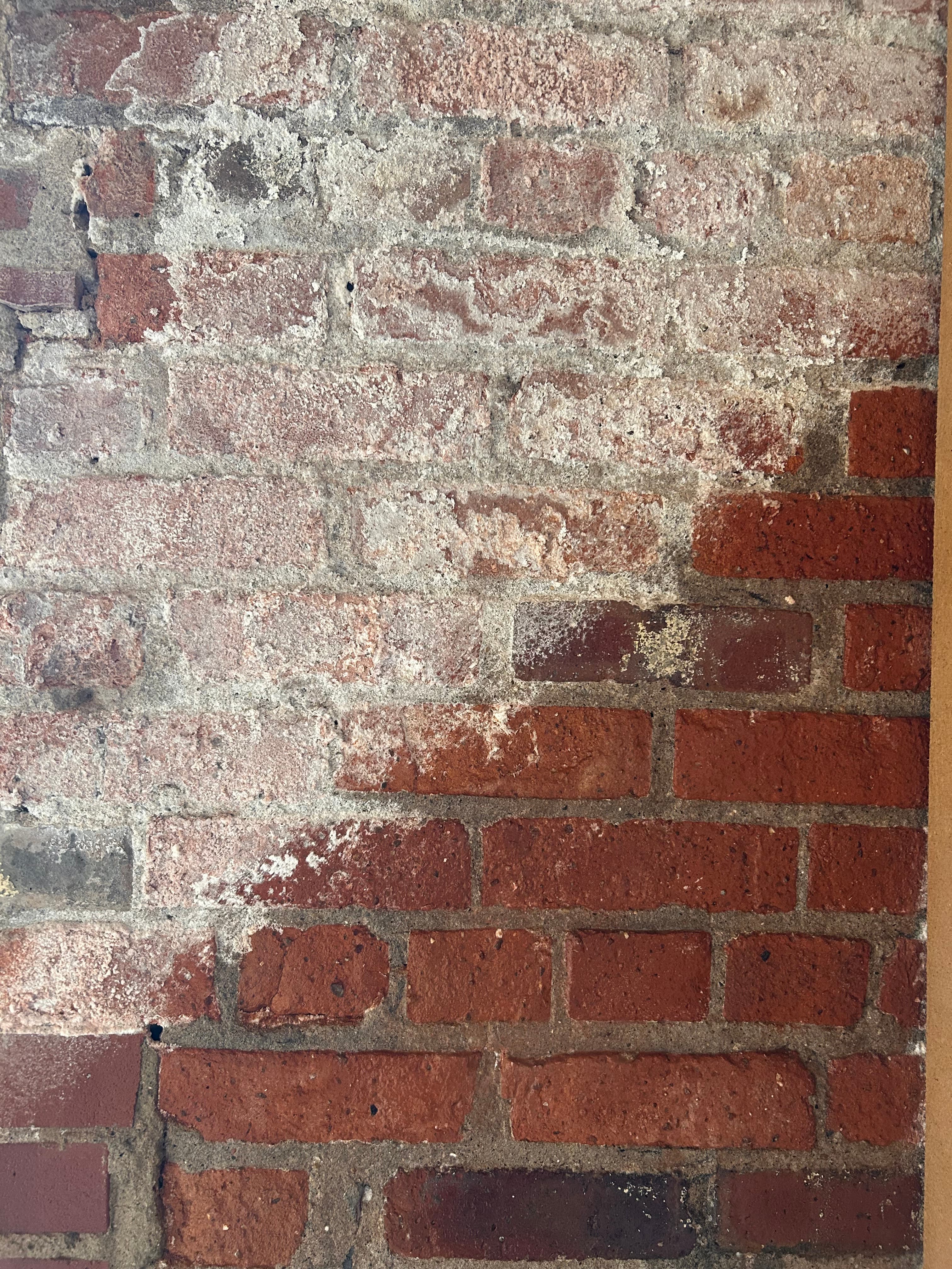 Efflorescence Removal & Waterproofing